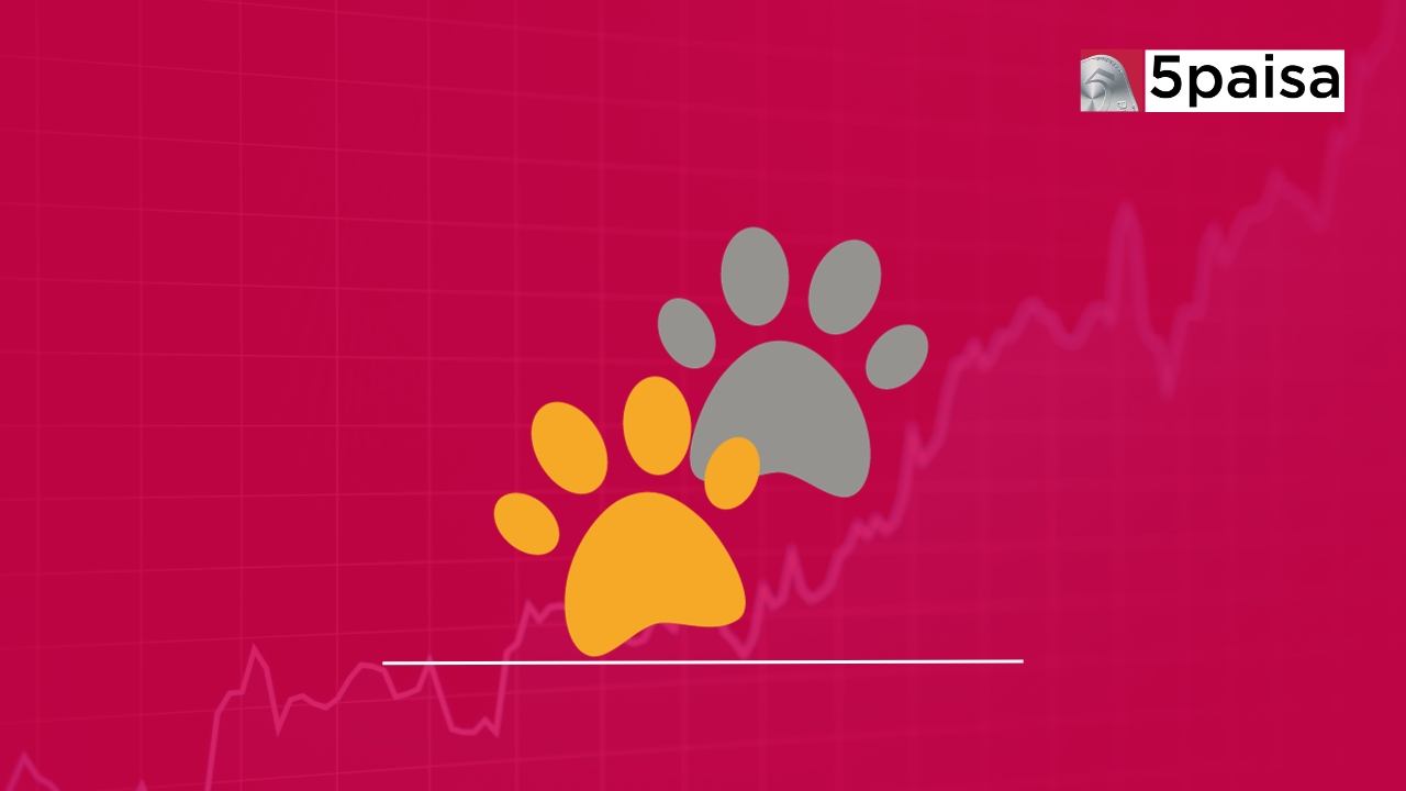 Best Pet Stocks 5paisa